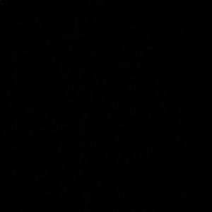 Meet your Posher, Jasper